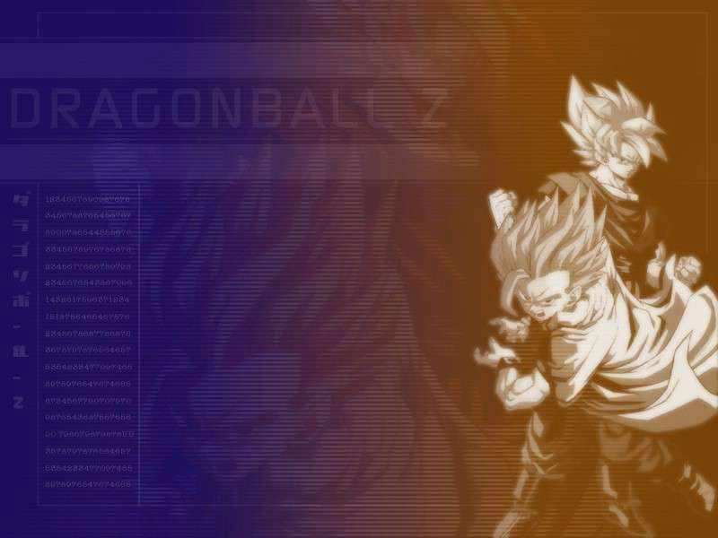 Dragonball Z 011.jpg
